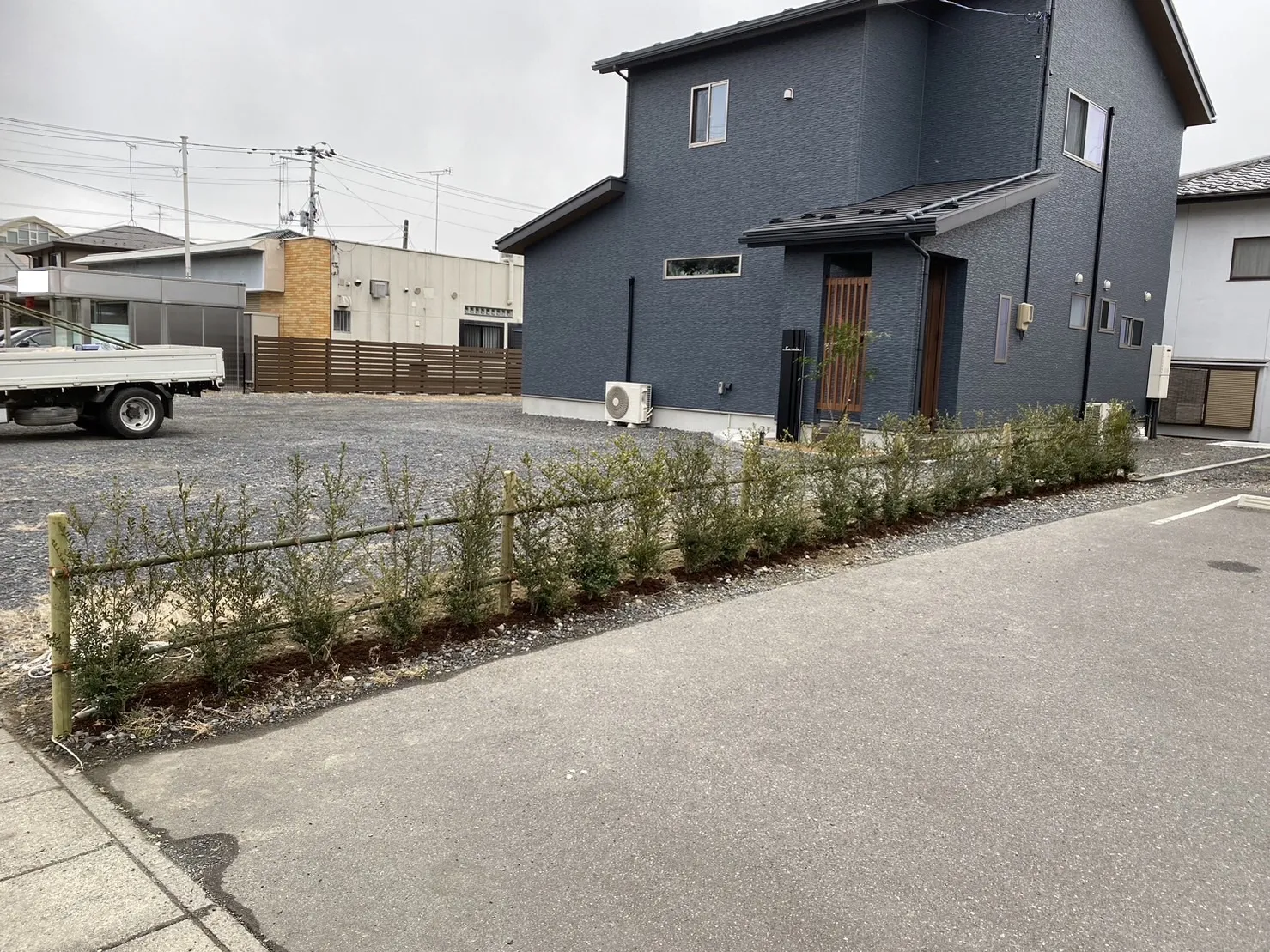 イヌツゲ　生垣　境界　コストダウン